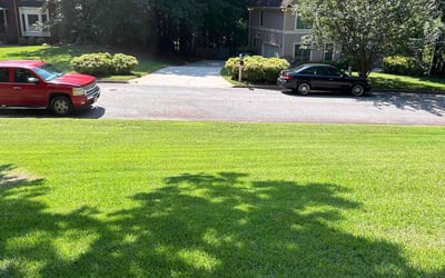 Photo of Omar H.'s yard after getting lawn care in Navarre, FL