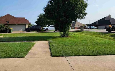 Photo of Jennifer M.'s yard after getting lawn care in Granbury, TX