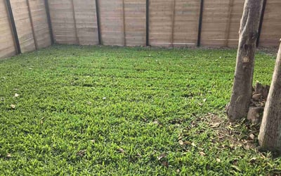 Photo of Sandra G.'s yard after getting lawn care in Henderson, TX