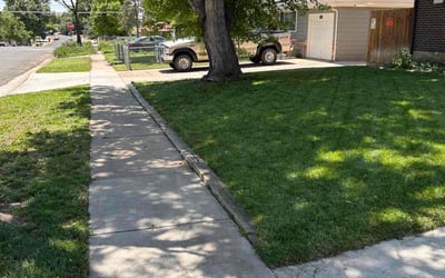 Photo of Maryann W.'s yard after getting lawn care in Fort Carson, CO