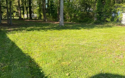 Photo of Brie D.'s yard after getting lawn care in Sandston, VA