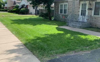 Photo of Sanjay A..'s yard after getting lawn care in Bensenville, IL