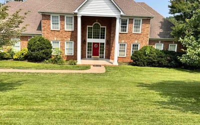 Photo of Kayla P.'s yard after getting lawn care in Ladson, SC