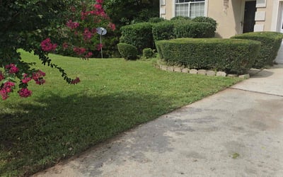 Photo of Desiree O.'s yard after getting lawn care in Clovis, CA