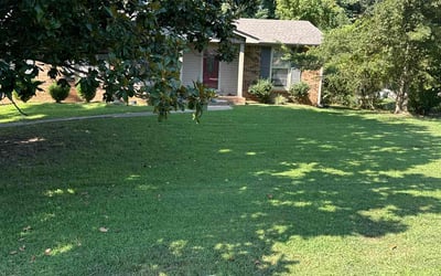 Photo of Leah H.'s yard after getting lawn care in Clarksville, TN
