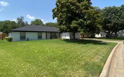 Photo of Maggie N.'s yard after getting lawn care in Westfield, NJ