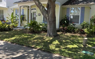 Photo of Uzell B.'s yard after getting lawn care in Goldsboro, NC