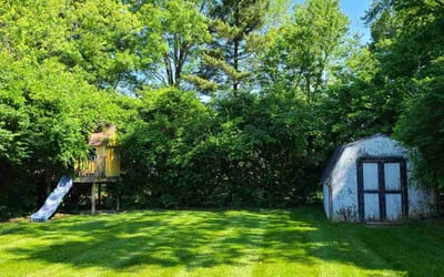 Photo of Willynne S.'s yard after getting lawn care in Harrison, OH
