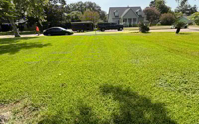Photo of Joshua B.'s yard after getting lawn care in Rosenberg, TX