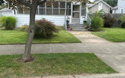 Photo of Kevin R.'s yard after getting lawn care in Endicott, NY