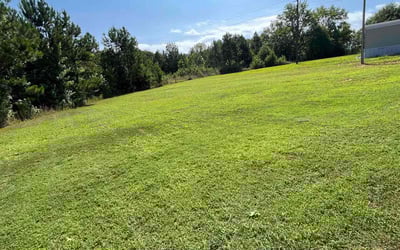 Photo of Autumn T.'s yard after getting lawn care in Inman, SC