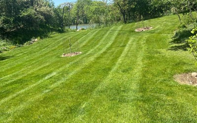 Photo of Hanna L.'s yard after getting lawn care in Dover, NH