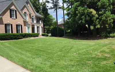 Photo of Amol B.'s yard after getting lawn care in Suwanee, GA