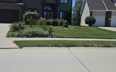 Photo of Darci S.'s yard after getting lawn care in Flemington, NJ