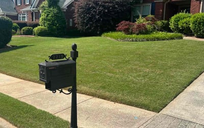 Photo of Coronda W.'s yard after getting lawn care in Duluth, GA