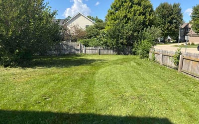 Photo of Debra T.'s yard after getting lawn care in Daly City, CA