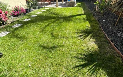 Photo of Pamela H.'s yard after getting lawn care in Tracy, CA