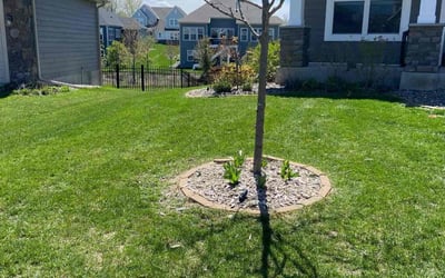 Photo of Kameron H.'s yard after getting lawn care in East Bethel, MN
