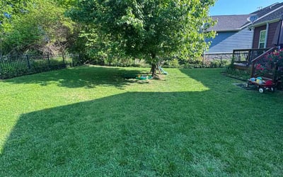 Photo of Tiffani G.'s yard after getting lawn care in Franklin, TN