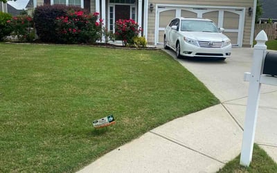 Photo of Ericka C.'s yard after getting tree care in Peachtree City, GA