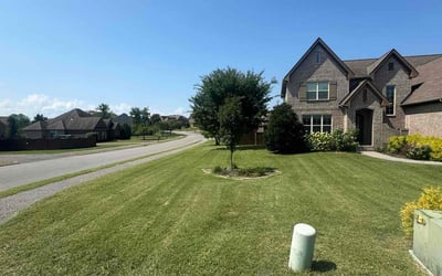 Photo of Penelope B.'s yard after getting lawn care in Spring Hill, TN