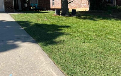 Photo of Gene S.'s yard after getting lawn care in Clyde, NC