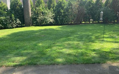 Photo of Andrew P.'s yard after getting lawn care in Cranston, RI