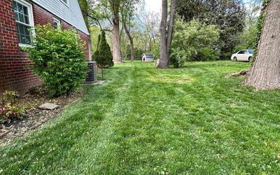 Photo of Angel O.'s yard after getting lawn care in Wichita, KS