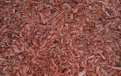 Photo of Earline R.'s yard after getting lawn care in Northbrook, IL