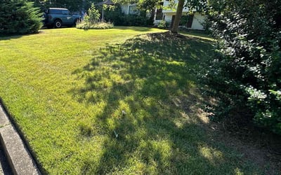 Photo of Gerry M.'s yard after getting lawn care in South Riding, VA