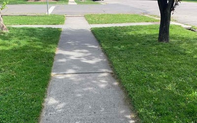 Photo of Kim L.'s yard after getting lawn care in Provo, UT