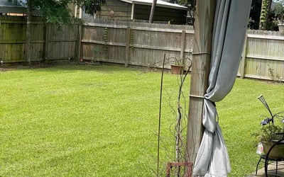 Photo of Cynthia M.'s yard after getting lawn care in Gulf Breeze, FL
