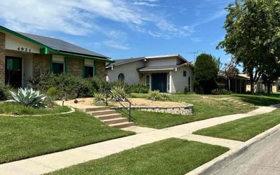 Photo of Nicholas Z.'s yard after getting lawn care in The Colony, TX