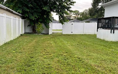 Photo of Dominique N.'s yard after getting lawn care in Homestead, PA