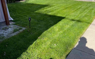 Photo of Nicole F.'s yard after getting lawn care in Elmwood Park, IL