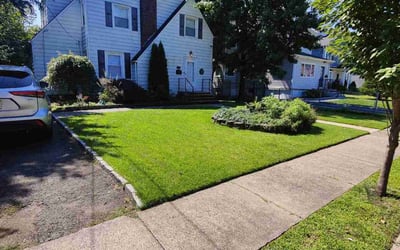 Photo of Alan W.'s yard after getting lawn care in Englewood, NJ