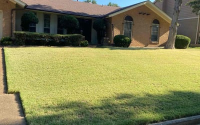 Photo of Latrice L.'s yard after getting lawn care in Memphis, TN