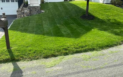 Photo of Rayjean E.'s yard after getting lawn care in Shelton, CT