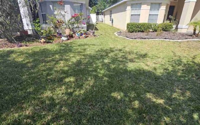 Photo of Rose A.'s yard after getting lawn care in North Palm Beach, FL