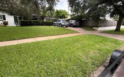 Photo of Eric B.'s yard after getting lawn care in Safety Harbor, FL