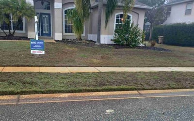 Photo of Steve M.'s yard after getting tree care in Shelton, CT
