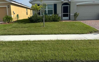Photo of Robert B.'s yard after getting lawn care in Palm Bay, FL