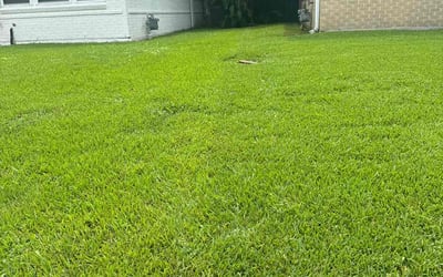 Photo of Vincent N.'s yard after getting lawn care in Fenton, MO