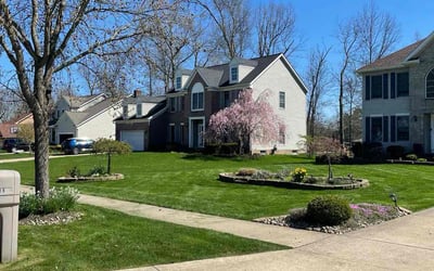 Photo of Richard C.'s yard after getting lawn care in Northfield, OH