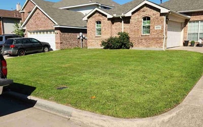 Photo of Mike E.'s yard after getting lawn care in Wakefield, MA
