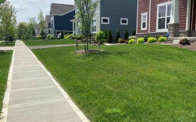 Photo of Rhonda T.'s yard after getting lawn care in Mount Gilead, OH