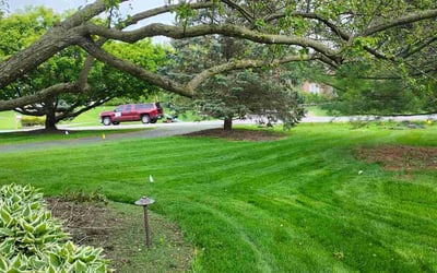 Photo of Josh O.'s yard after getting lawn care in Mount Laurel, NJ