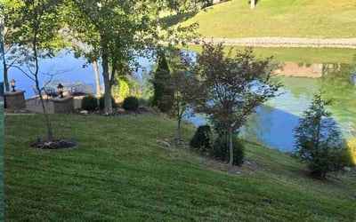 Photo of Olivia N.'s yard after getting lawn care in Fairview Heights, IL