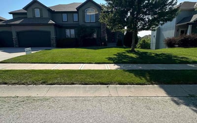 Photo of Brian L.'s yard after getting lawn care in Higginsville, MO
