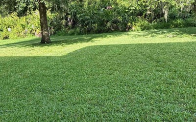 Photo of Rebecca R.'s yard after getting lawn care in Kent, OH